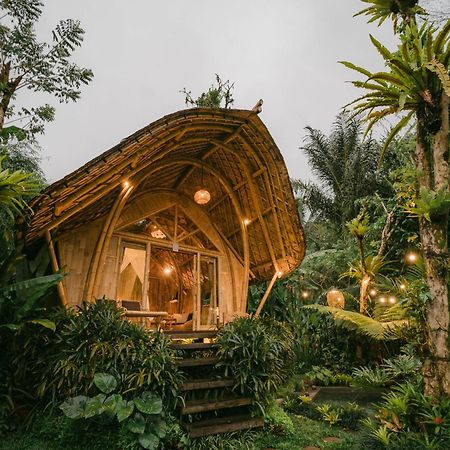 Вилла Arcada Bali Bamboo House Сидемен Экстерьер фото