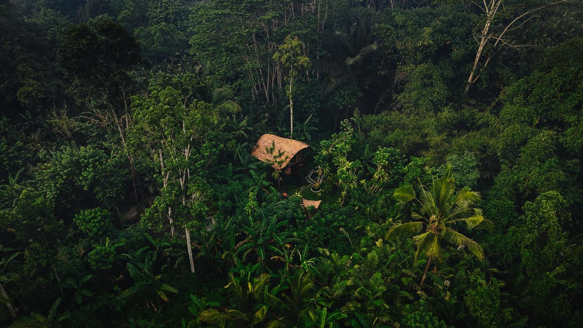 Вилла Arcada Bali Bamboo House Сидемен Экстерьер фото