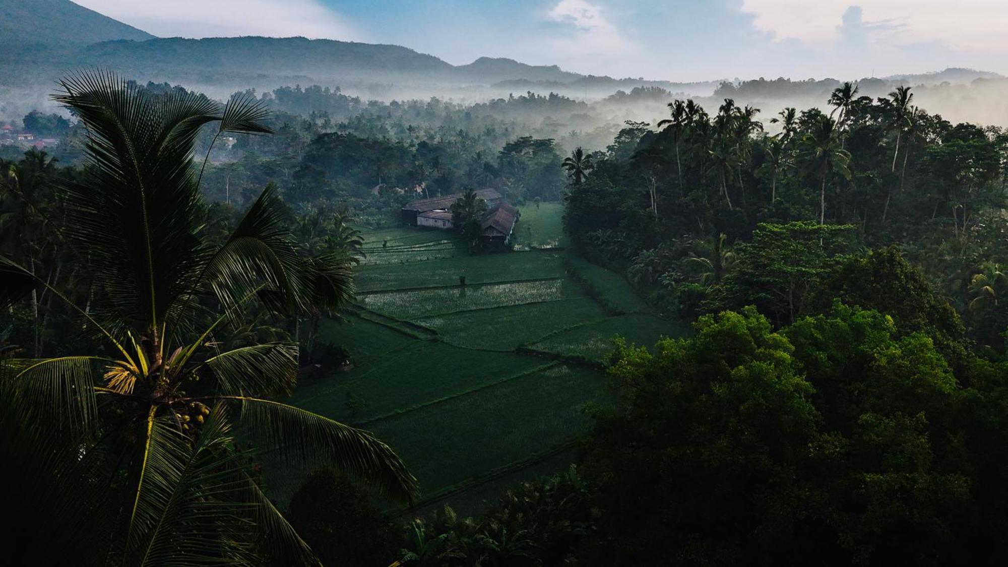 Вилла Arcada Bali Bamboo House Сидемен Экстерьер фото