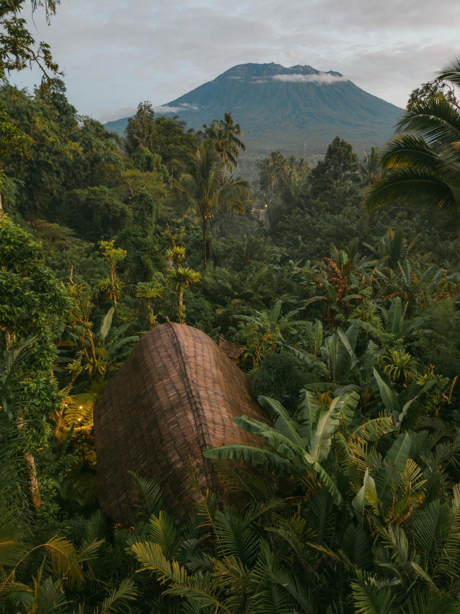 Вилла Arcada Bali Bamboo House Сидемен Экстерьер фото